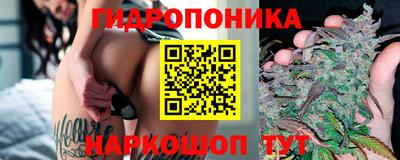 ECSTASY Бузулук