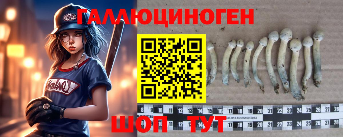 Псилоцибиновые грибы Cubensis Петрозаводск